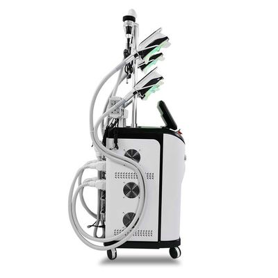 110V 240V 800W Czarna krio Coolsculpting Machine